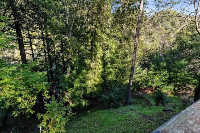 view of local wilderness with a forest view