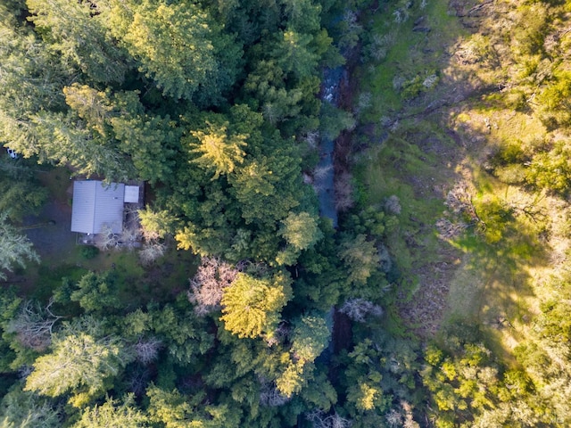 drone / aerial view with a forest view