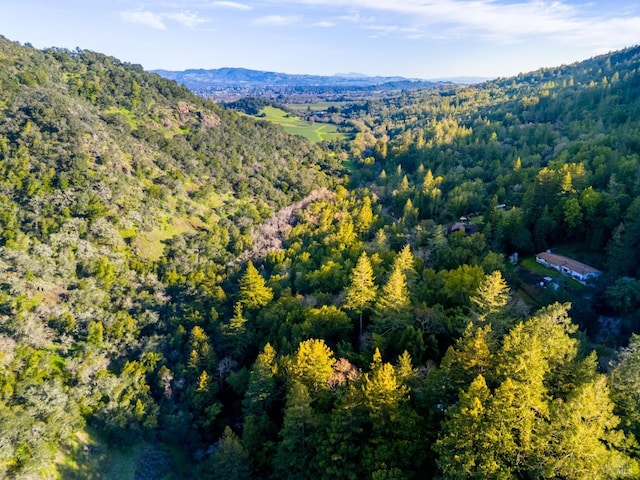 birds eye view of property with a forest view and a mountain view