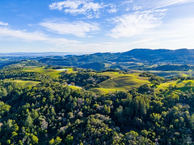 drone / aerial view featuring a wooded view and a mountain view