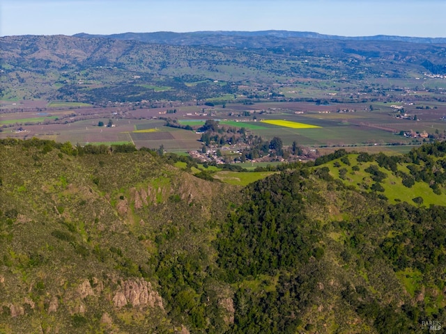 bird's eye view featuring a mountain view