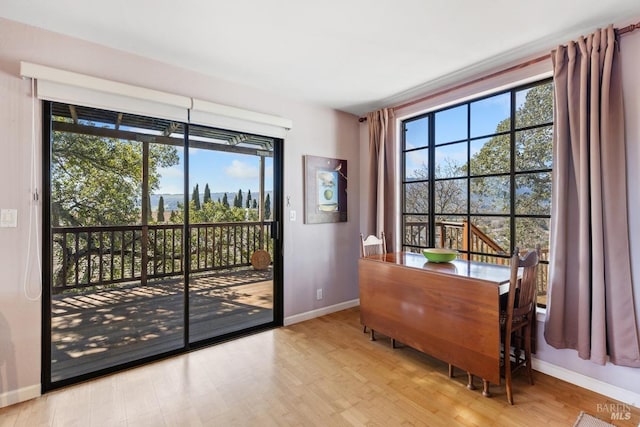 entryway featuring baseboards and light wood-style floors