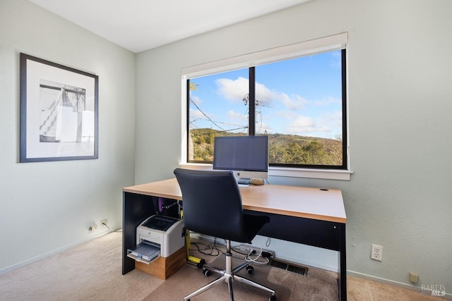 view of carpeted office space