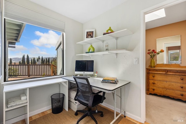 home office with baseboards