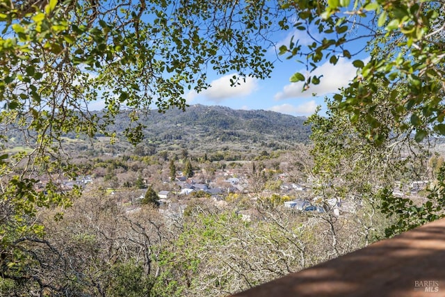 property view of mountains