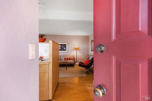 foyer entrance featuring light wood-type flooring