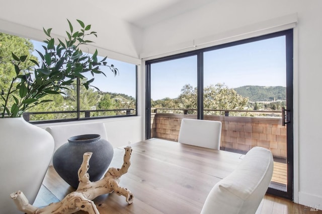 dining room featuring light wood-style floors, a healthy amount of sunlight, and a mountain view