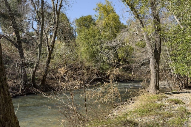 view of nature featuring a view of trees