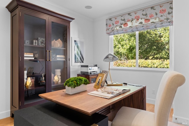 office space with ornamental molding