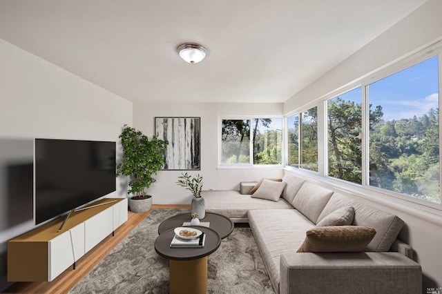 living area featuring light wood-style floors and plenty of natural light