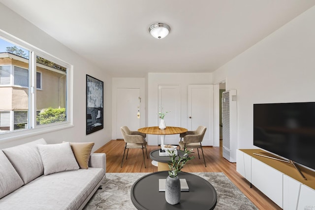 living room featuring light wood-style flooring