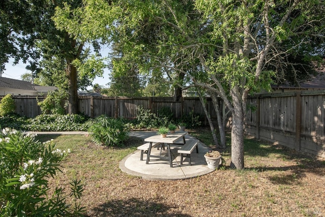 view of yard with a patio area and a fenced backyard