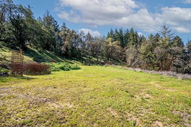 3564 Chinquapin Dr, Willits CA, 95490 land for sale