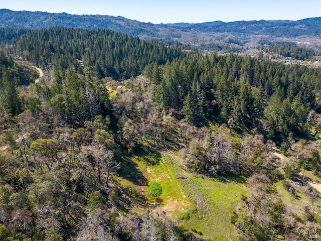 3564 Chinquapin Dr, Willits, CA 95490