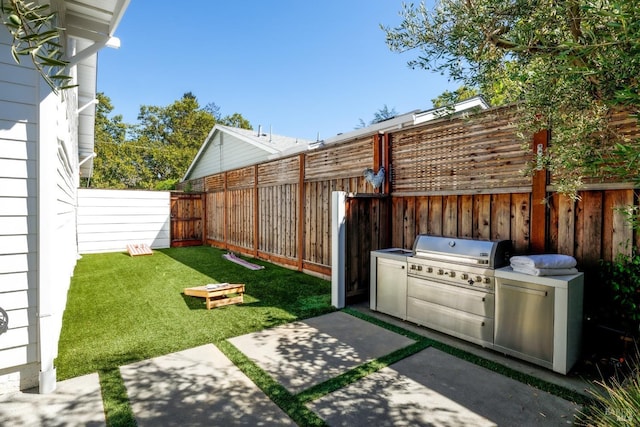 view of yard with a patio area and a fenced backyard