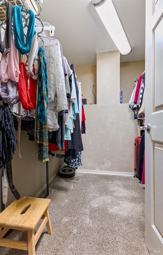 walk in closet featuring carpet flooring