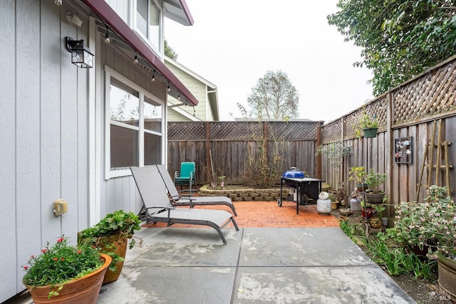 view of patio / terrace with a fenced backyard and grilling area