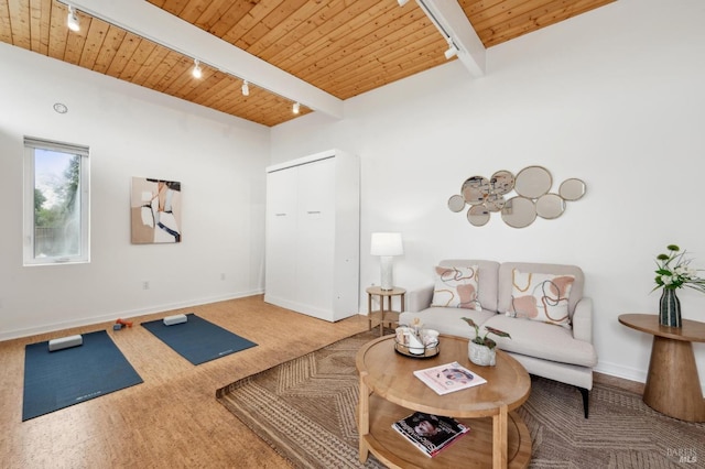 living room with carpet floors, beamed ceiling, wood ceiling, and track lighting