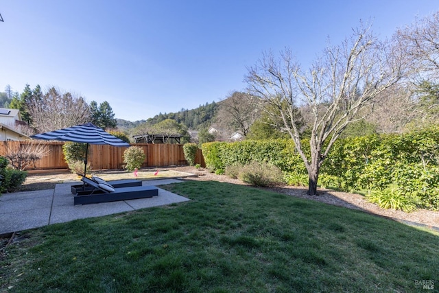 view of yard with a fenced backyard, a patio, and a mountain view