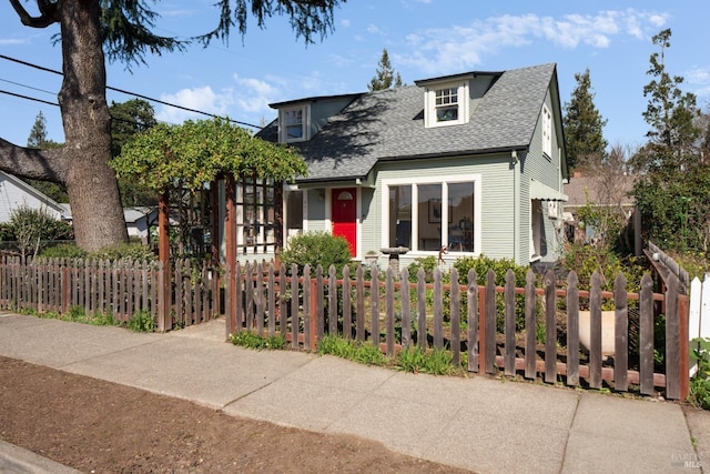 view of front facade featuring a fenced front yard and roof with shingles