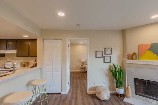 interior space featuring a fireplace, baseboards, wood finished floors, and recessed lighting