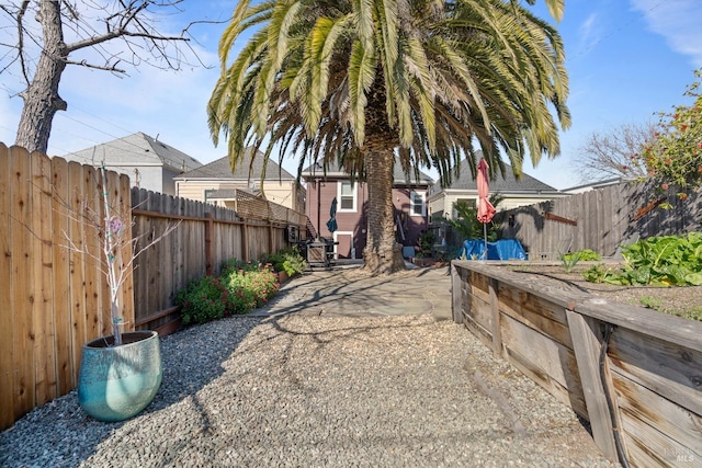 view of yard with a patio area and a fenced backyard