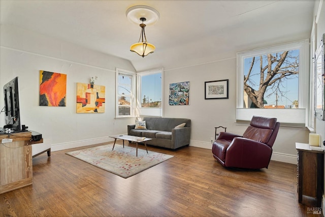 living room with wood finished floors, a wealth of natural light, and baseboards