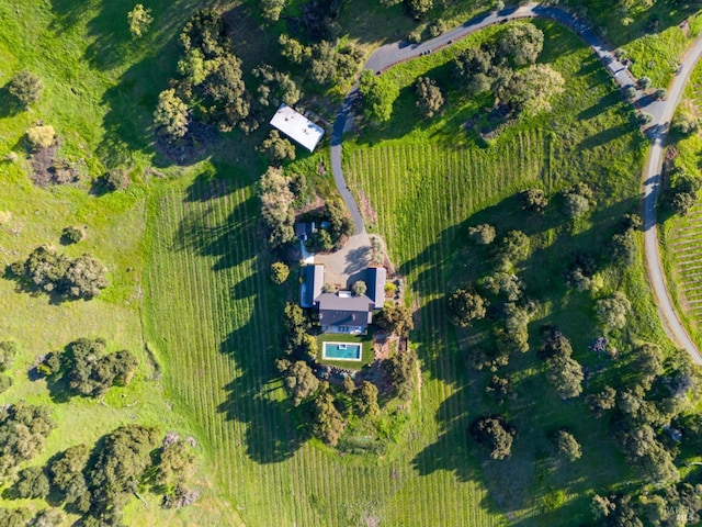 bird's eye view
