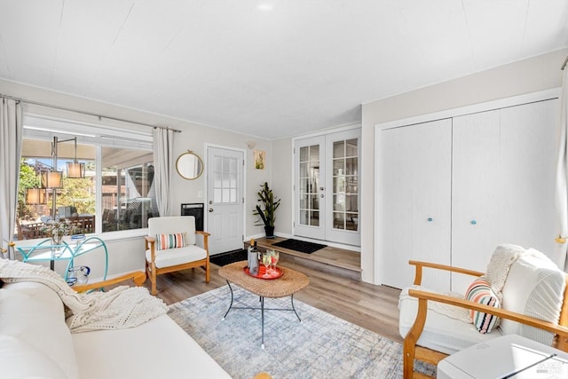 living area featuring french doors, wood finished floors, and baseboards