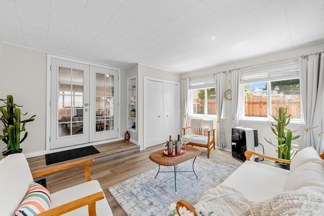 interior space featuring french doors and wood finished floors