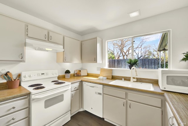 kitchen featuring white appliances, under cabinet range hood, light countertops, and a sink