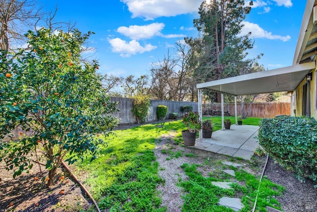 view of yard with a patio area and a fenced backyard