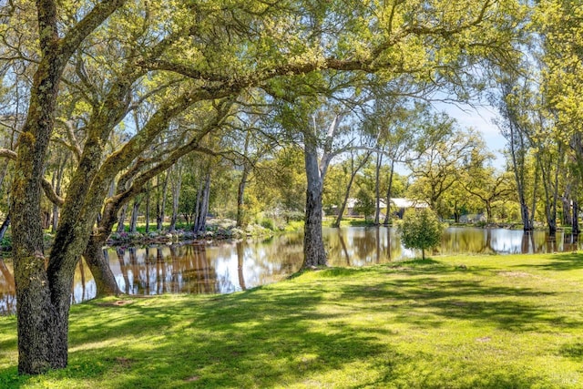 100 W Trinity Rd, Glen Ellen, CA 95442 - view of green lawn with a water view