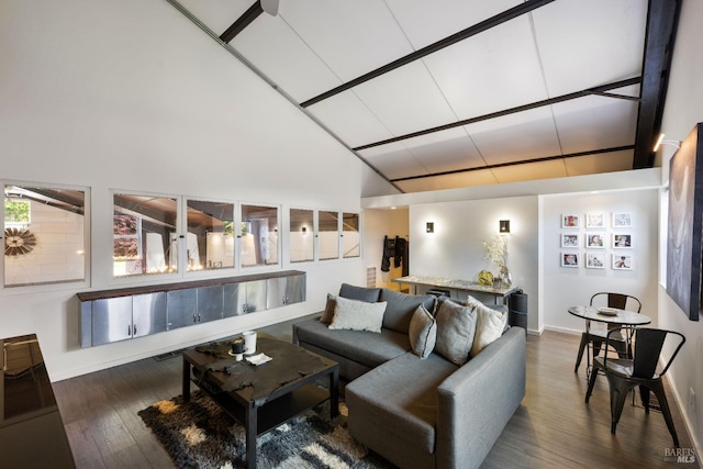 100 W Trinity Rd, Glen Ellen, CA 95442 - living room with wood finished floors, baseboards, and high vaulted ceiling