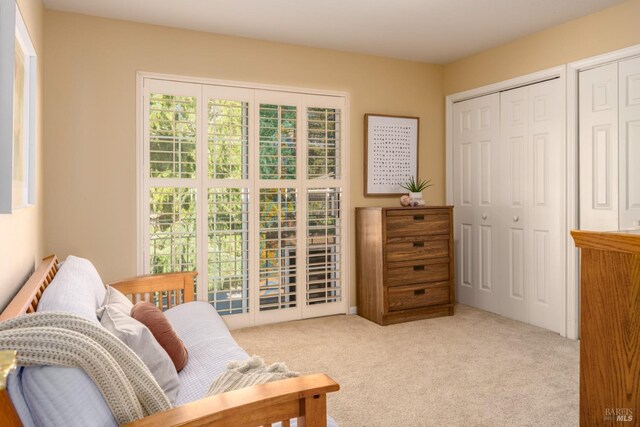 living area with carpet floors