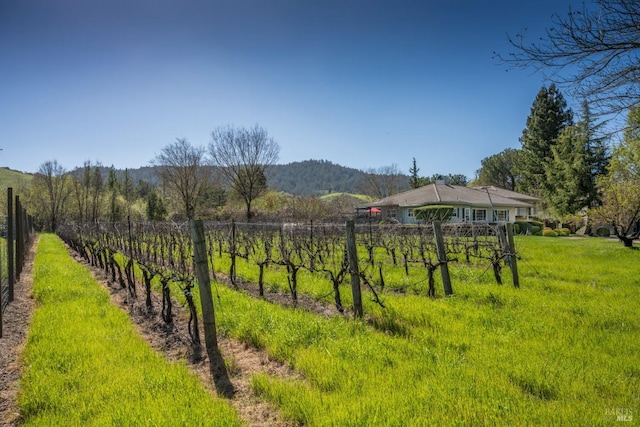 view of yard featuring a rural view and fence