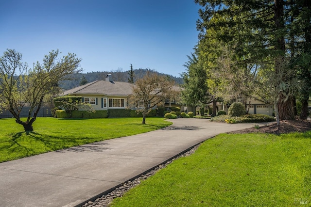 view of property's community featuring concrete driveway and a yard