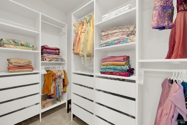 spacious closet with carpet