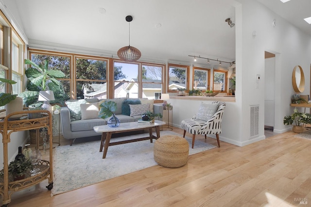 living area featuring a skylight, wood finished floors, and visible vents