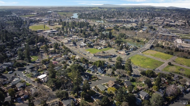 bird's eye view