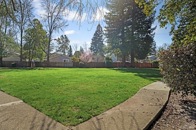 view of yard featuring a fenced backyard