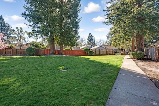 view of yard featuring a fenced backyard