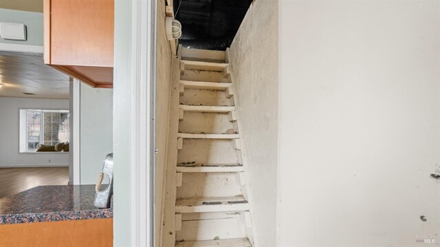 stairs featuring wood finished floors