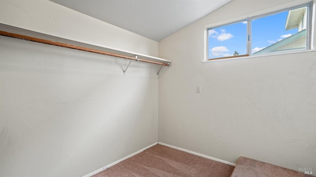 walk in closet with carpet flooring and lofted ceiling