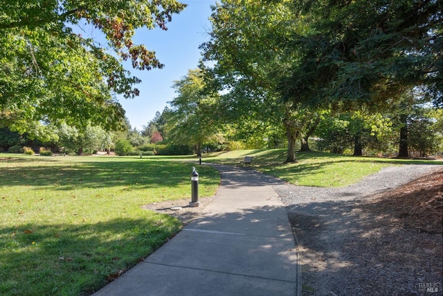 view of property's community with a lawn