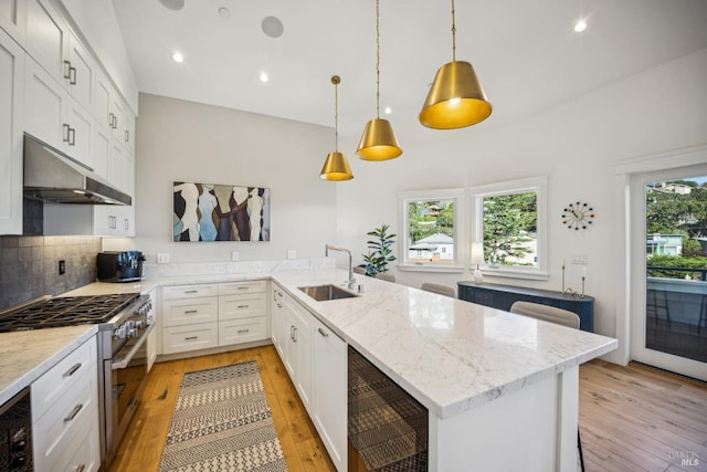 kitchen with a peninsula, light wood-style floors, a sink, and under cabinet range hood