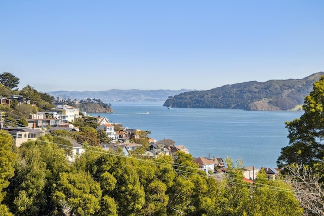 property view of water featuring a mountain view