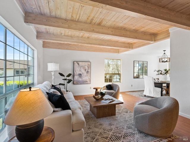 living room with a chandelier, wooden ceiling, plenty of natural light, and wood finished floors