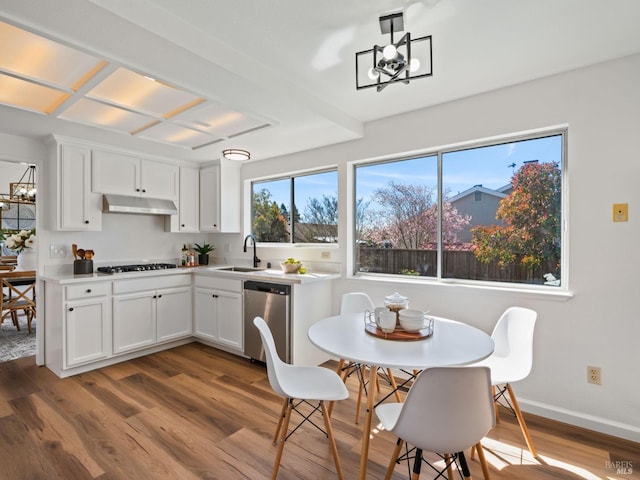 kitchen with a notable chandelier, a sink, dishwasher, dark wood-style floors, and under cabinet range hood