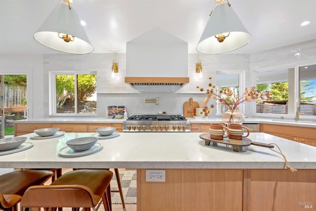 kitchen featuring custom range hood, plenty of natural light, decorative backsplash, and stove